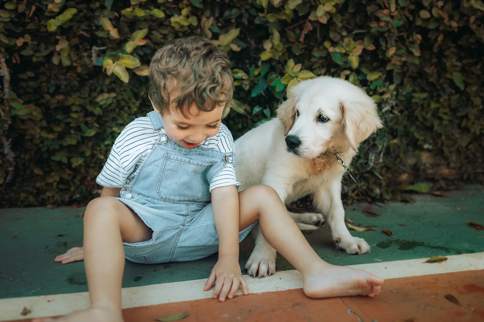 Family playing with their dog outdoors