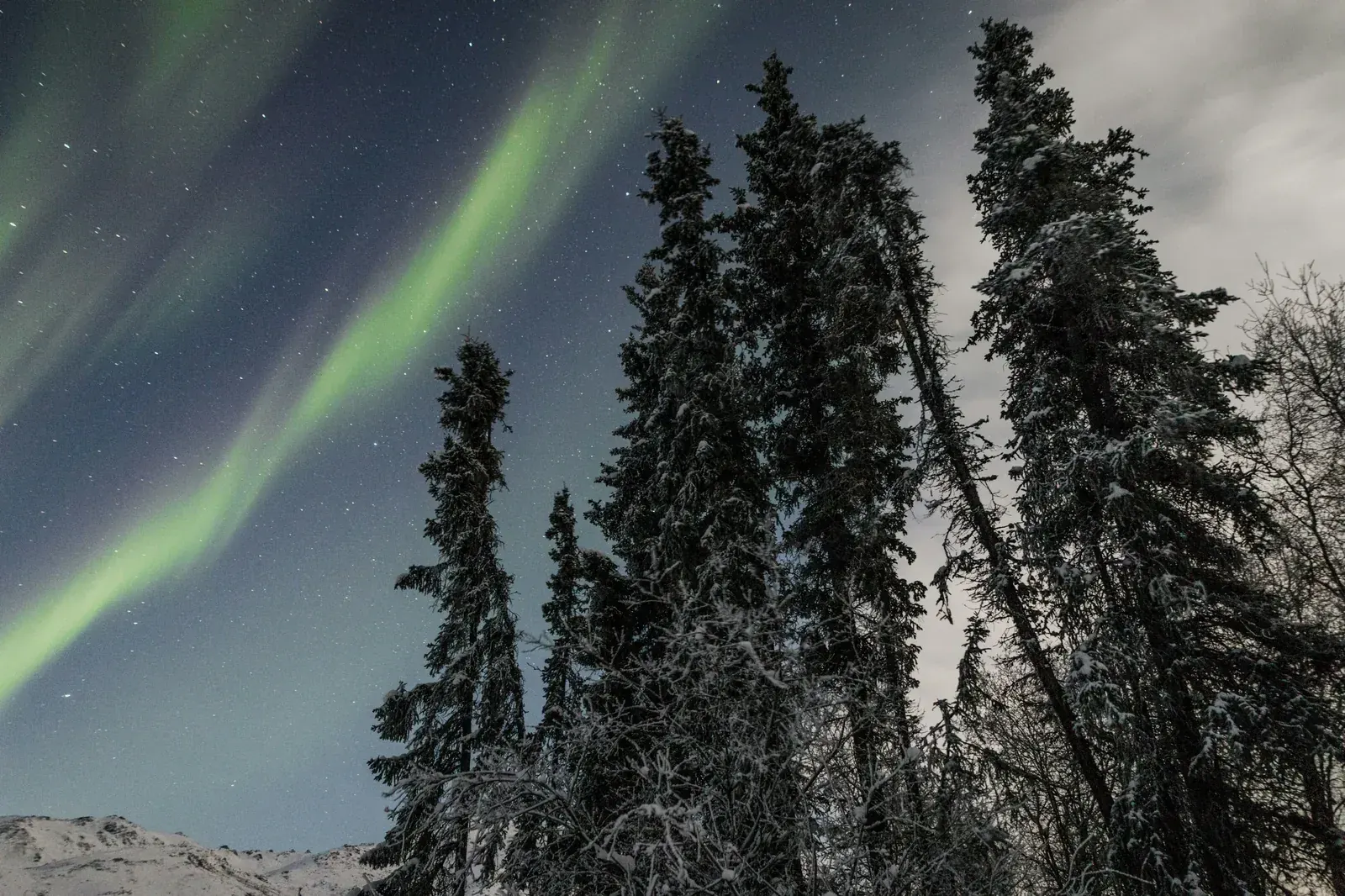 Alaska winter aurora