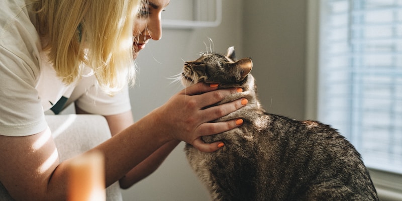 Veterinarian examining a pet