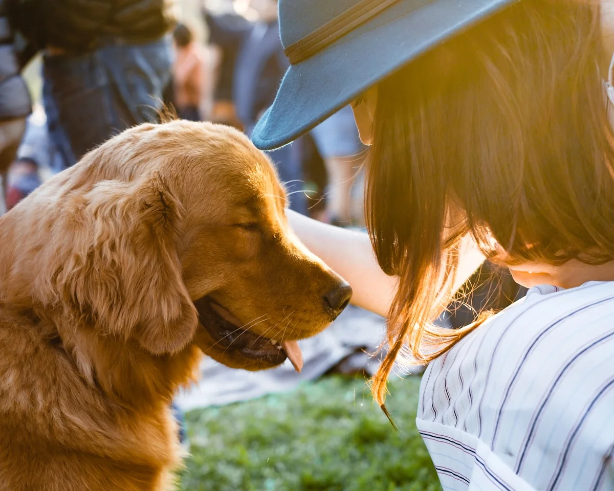 Family playing with golden retriever