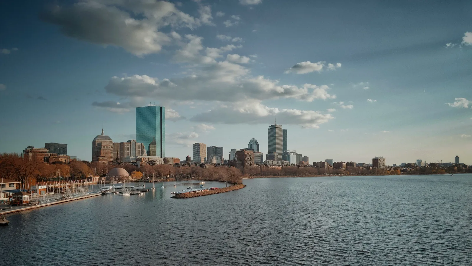 Boston skyline — the city has among the highest vet costs in New England