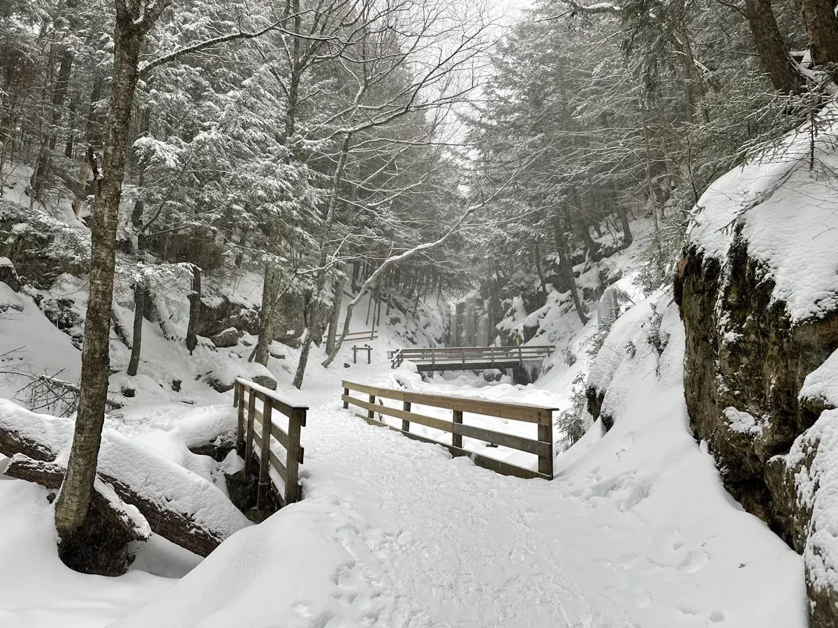 New Hampshire winter landscape