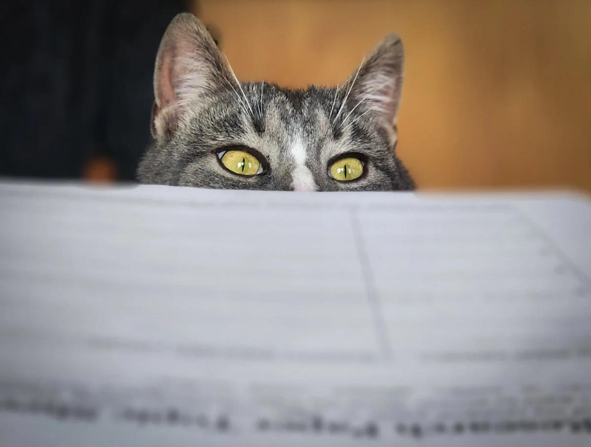 Pet insurance documents