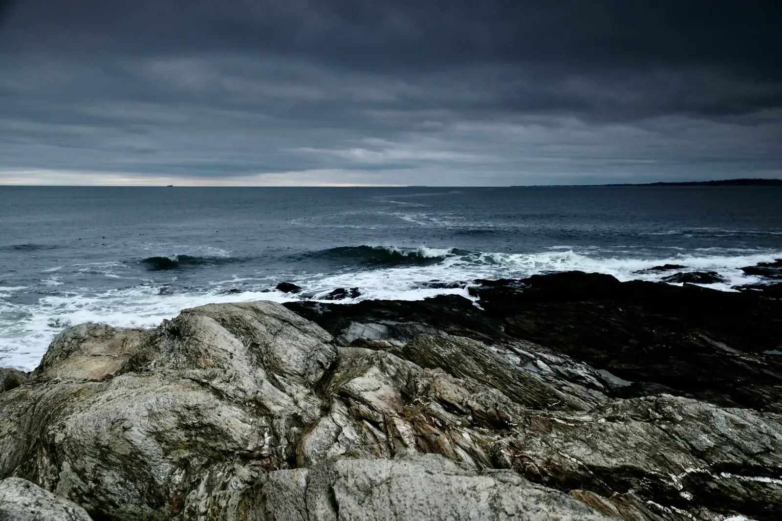 Rhode Island coast during a noreaster — coastal flooding and storm surge are real risks for RI pet owners