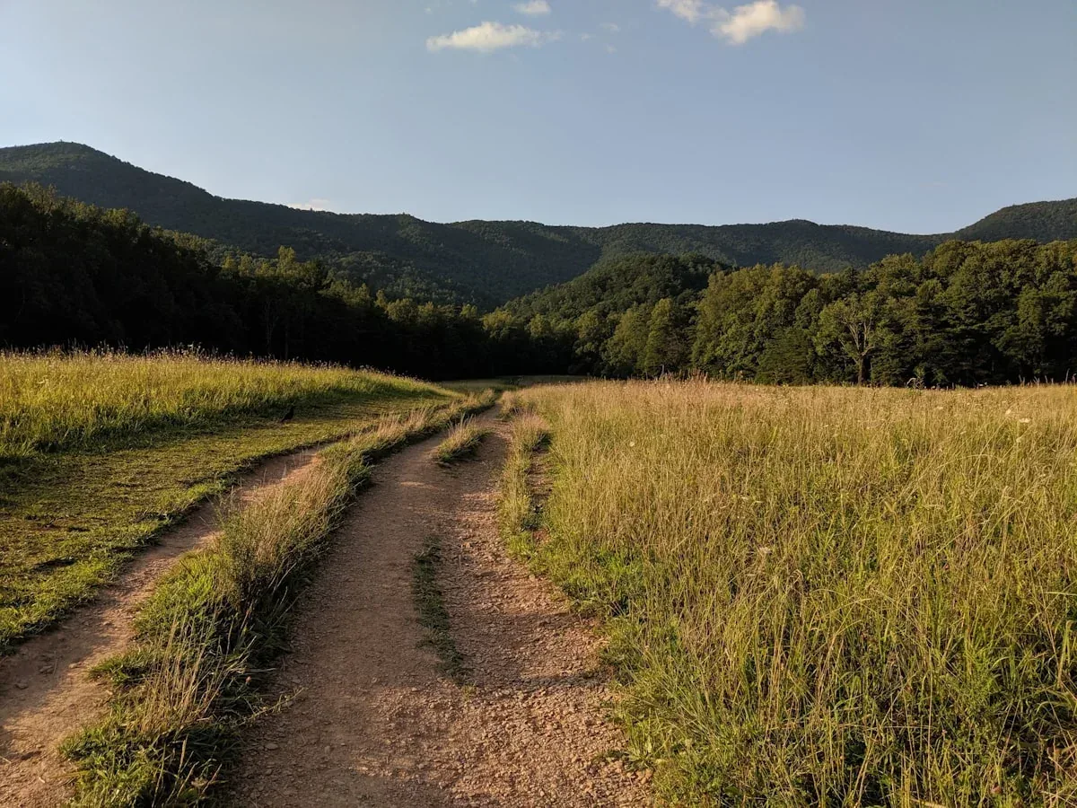 Tennessee landscape