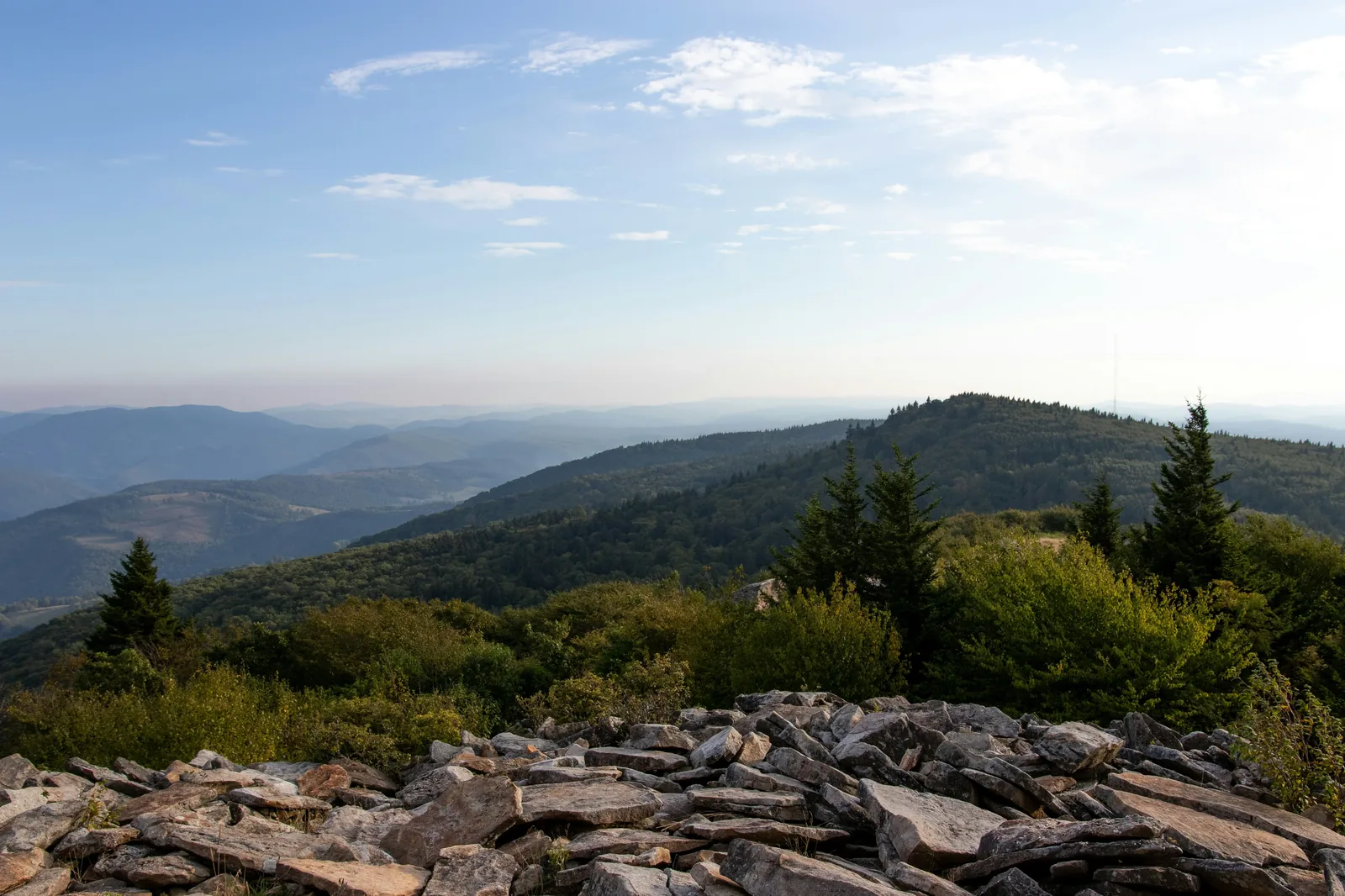 Virginia landscape