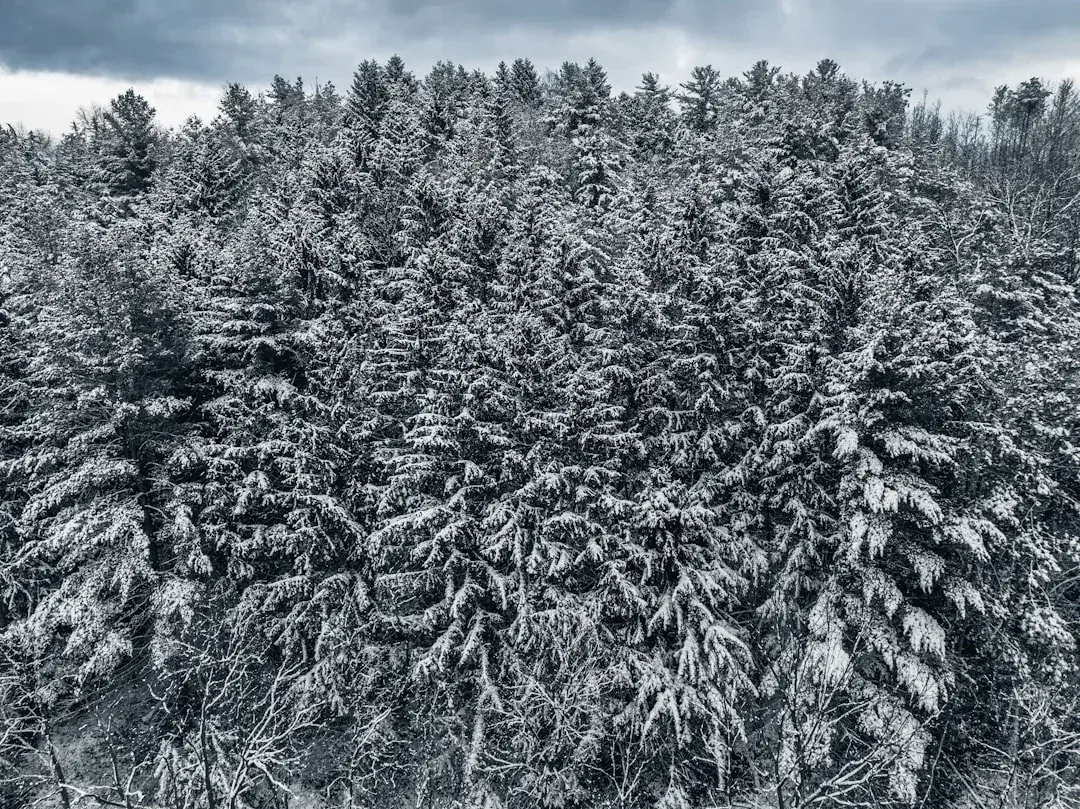 Wisconsin winter landscape